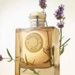 Burberry Gold EDP  [3]
