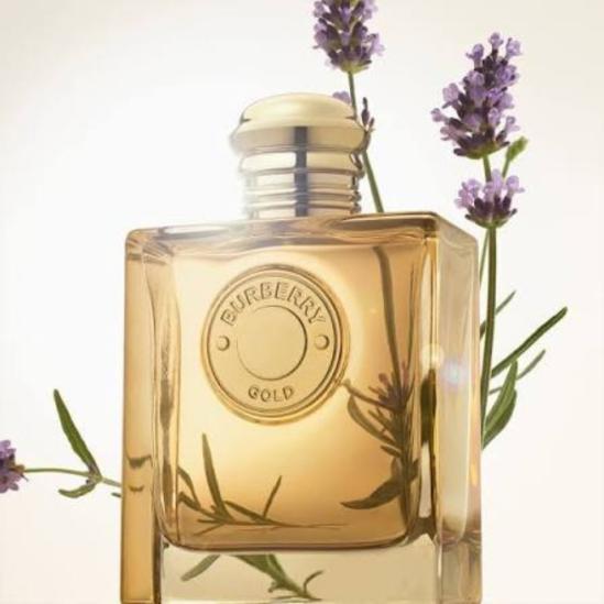 Burberry Gold EDP  [3]